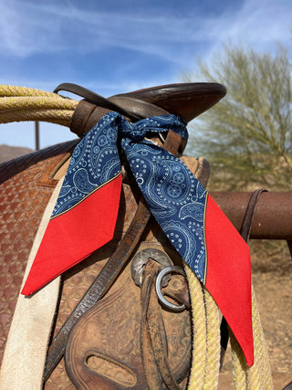 H Blue Paisley with red tips Twilly