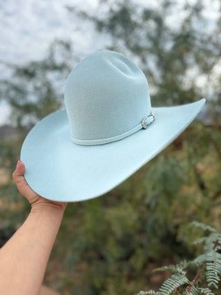 The Bluebird ~10X Rabbit