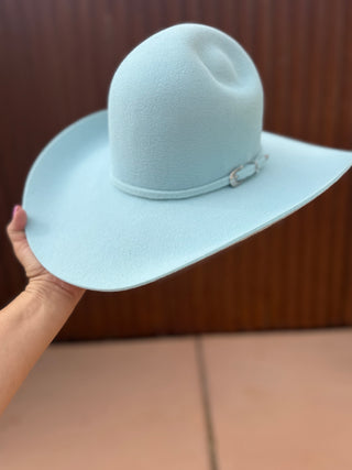 The Bluebird ~10X Rabbit